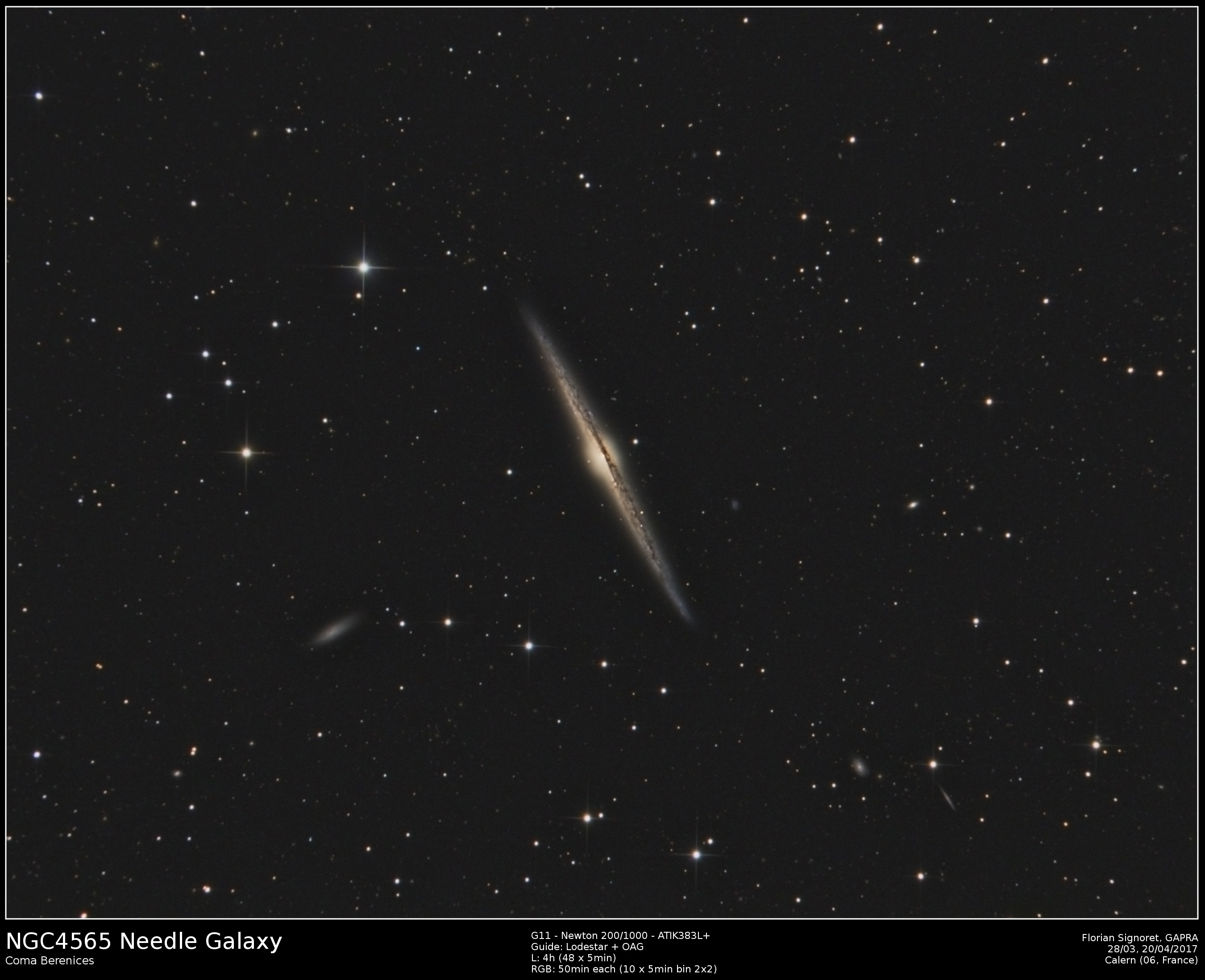 NGC4565