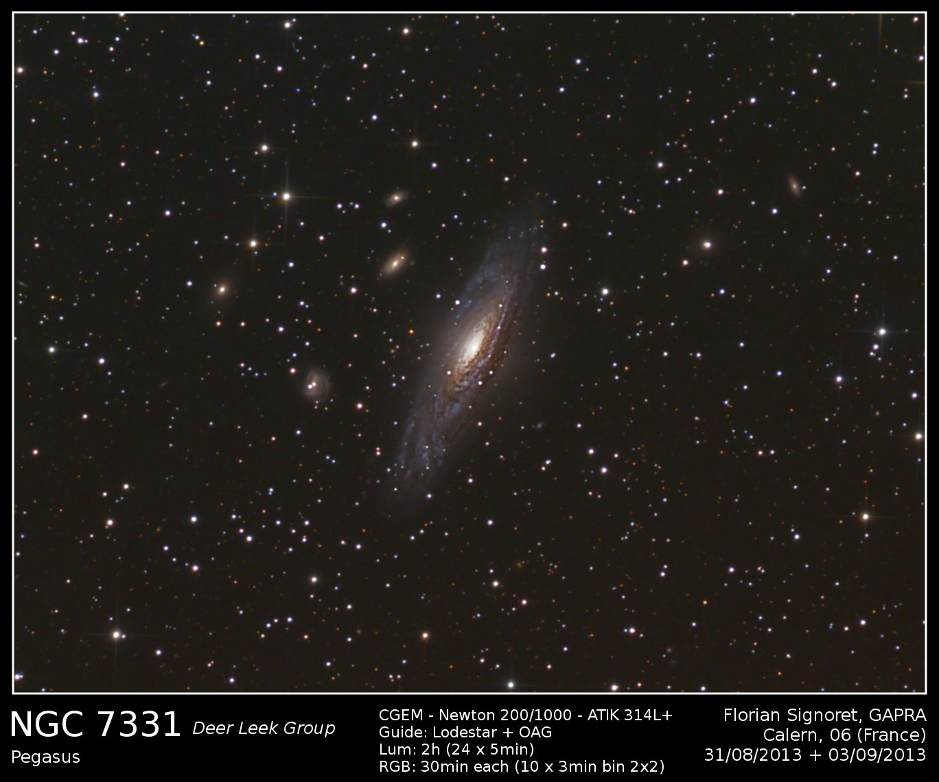 NGC7331