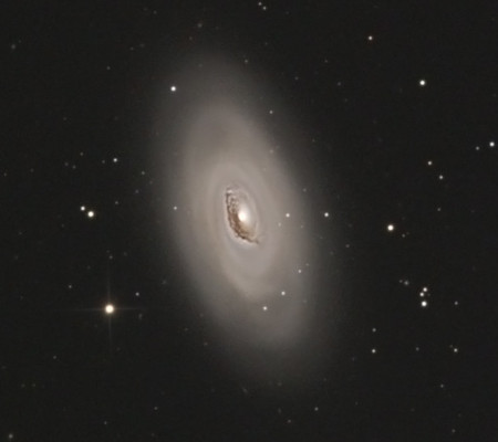 M64