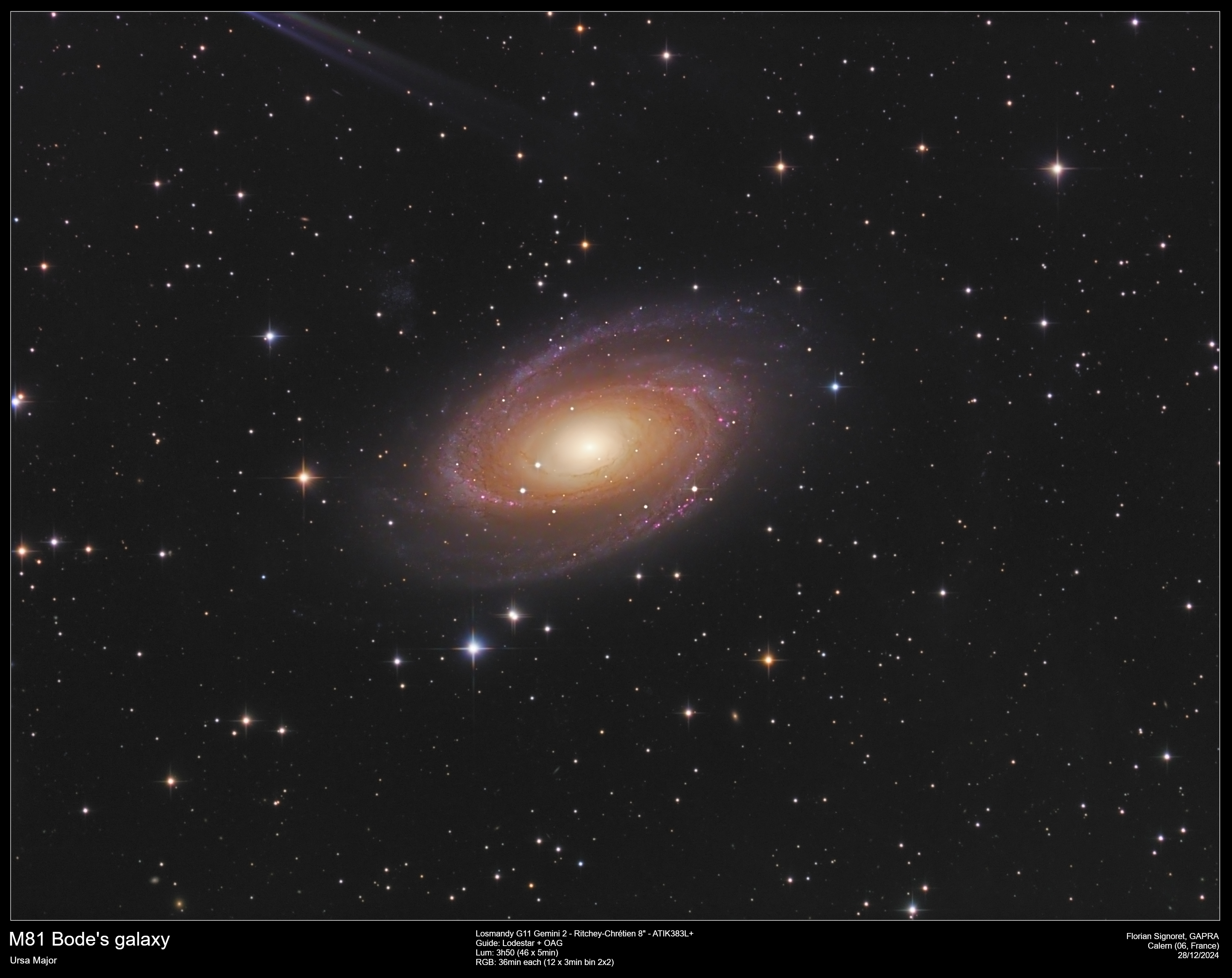M81-2024