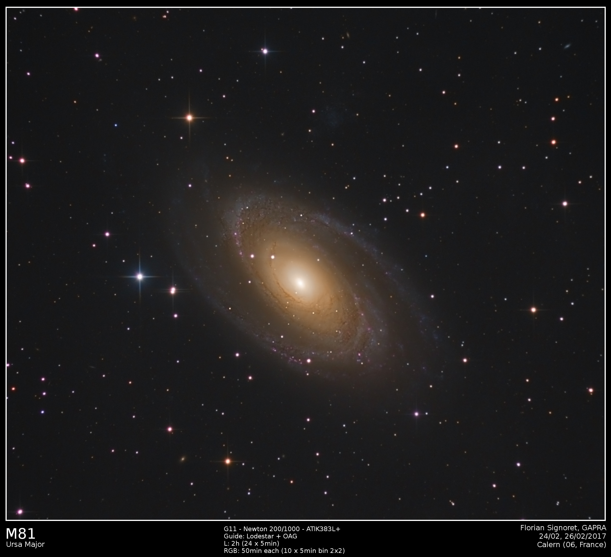 M81