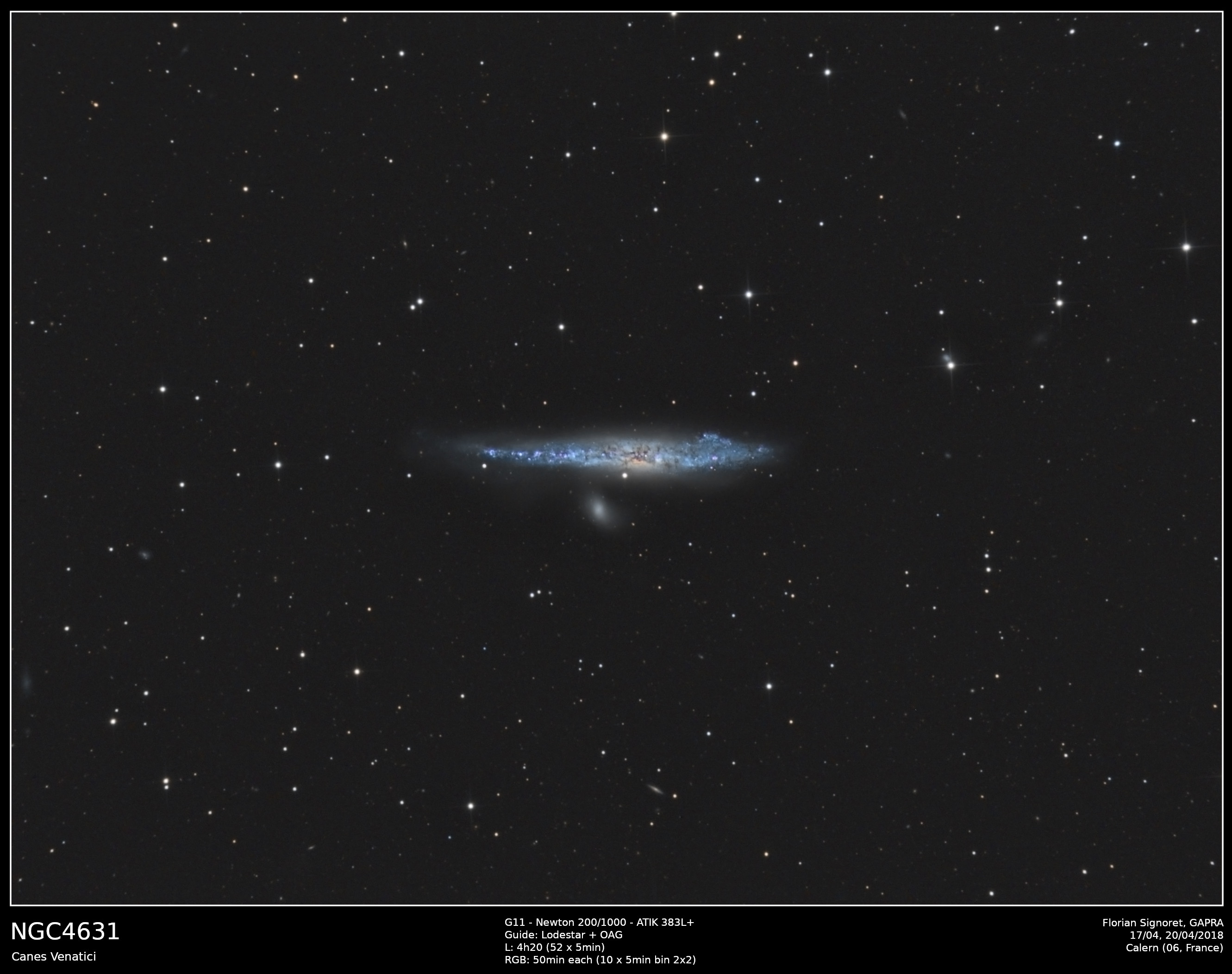 NGC4631