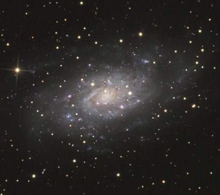 NGC 2403