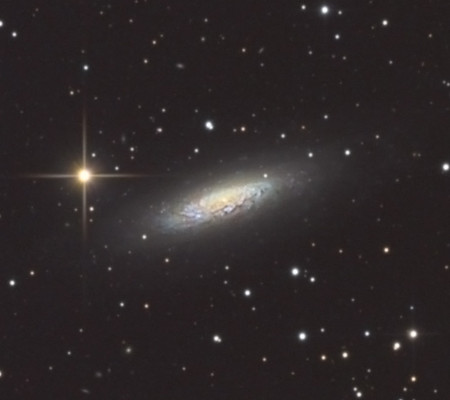 NGC 6503