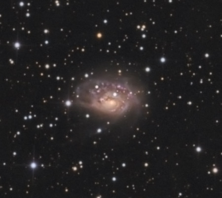NGC 1961