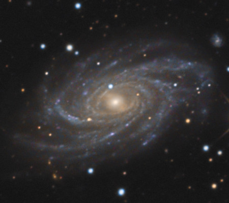 NGC 2336