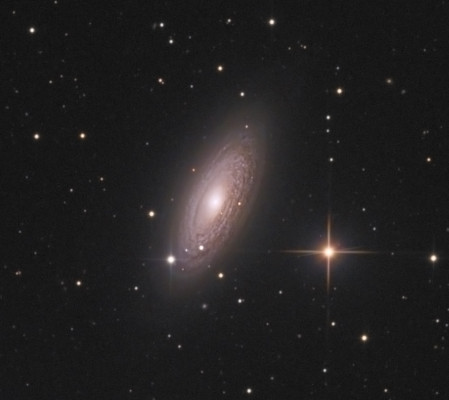 NGC 2841 La galaxie de l&rsquo;œil du Tigre