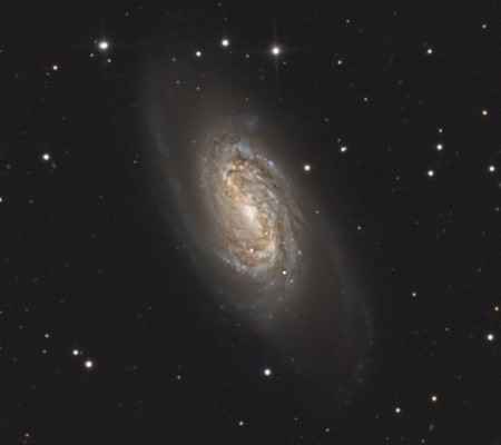 NGC 2903