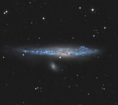 NGC 4631 La galaxie de la Baleine