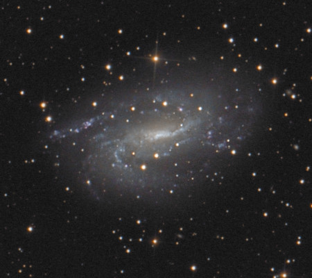 NGC 925